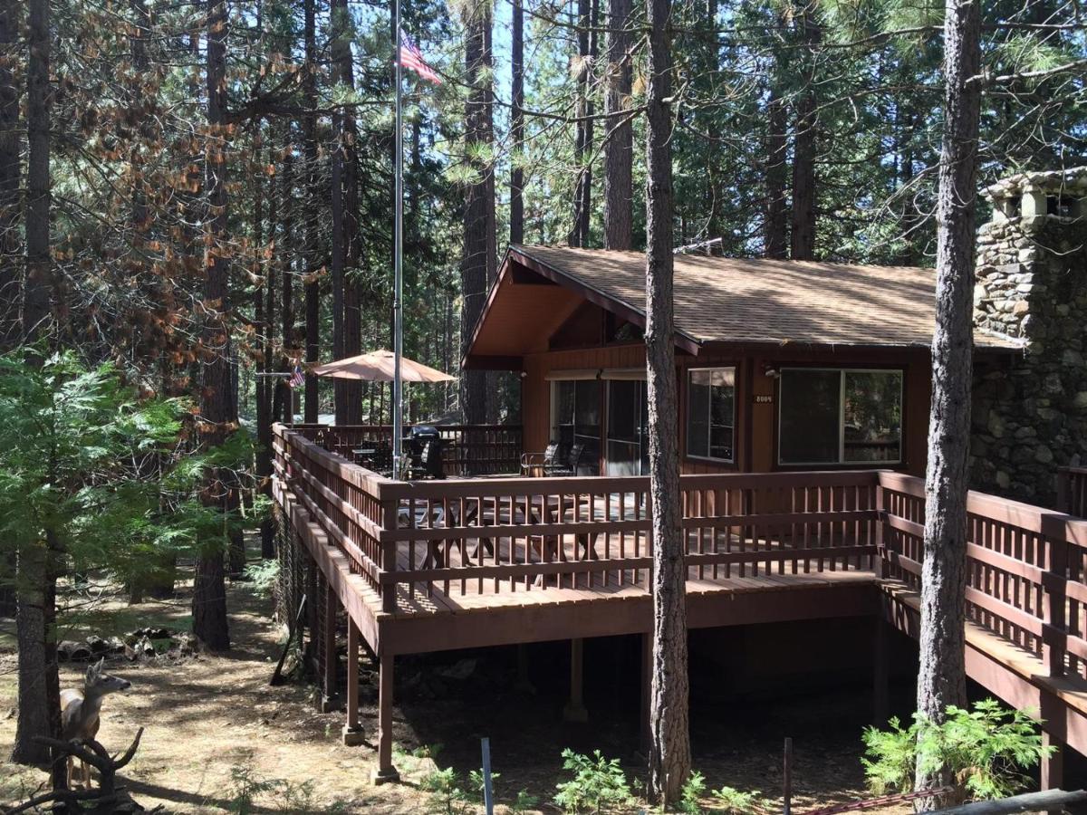 Papa Bear Cabin North Wawona Exterior photo